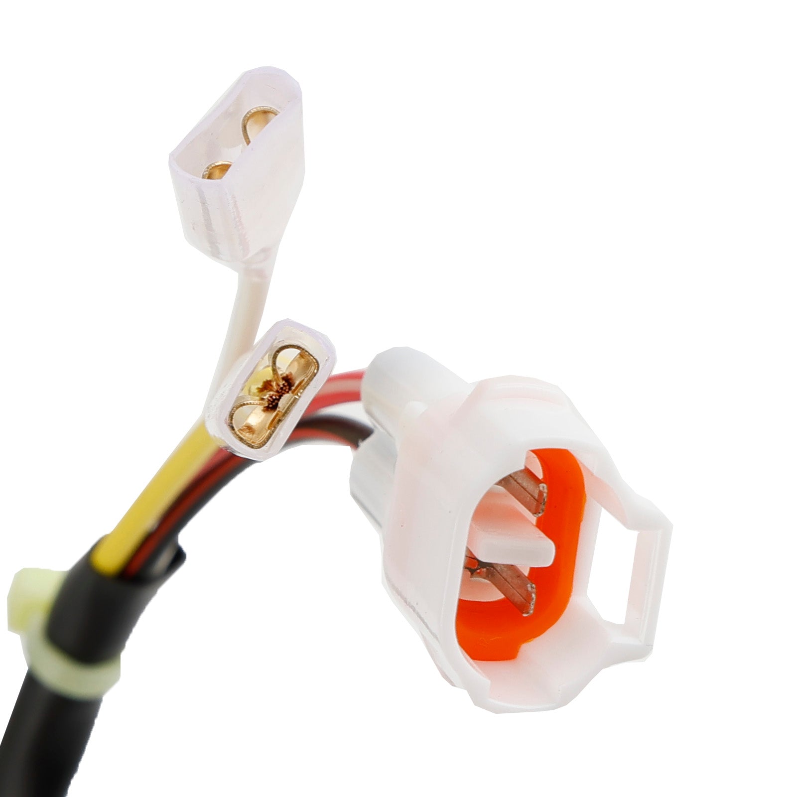Ignition Stator Regulator & Gasket For Beta RR 300 250 Racing X-Trainer 2T 2013-2023