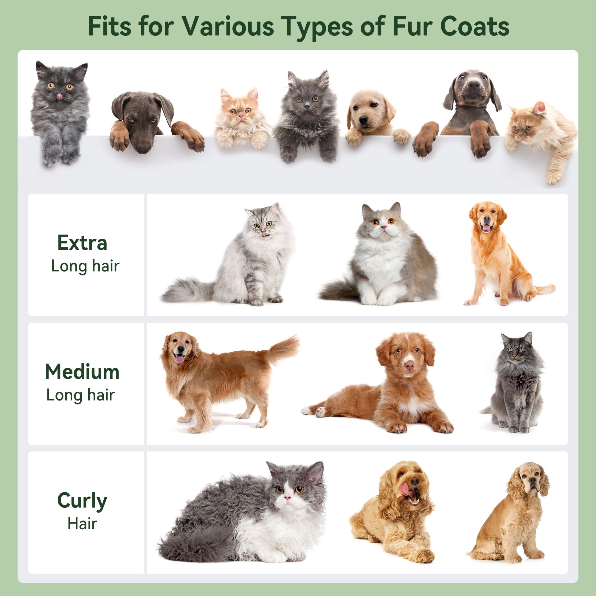 Dog Vacuum Brush for Shedding Grooming 5 In 1 Pet Grooming Kit Vacuum Suction Professional Pet Hair Clipper 1.5L Grooming Tools for Dogs Cats Pets