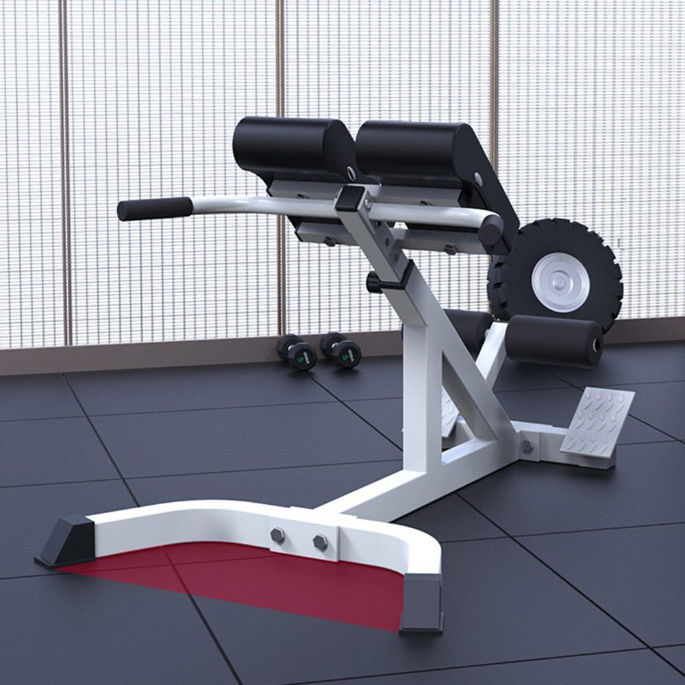Supine Board Back Training Adjustable Roman Chair Back Extension Exercise Bench
