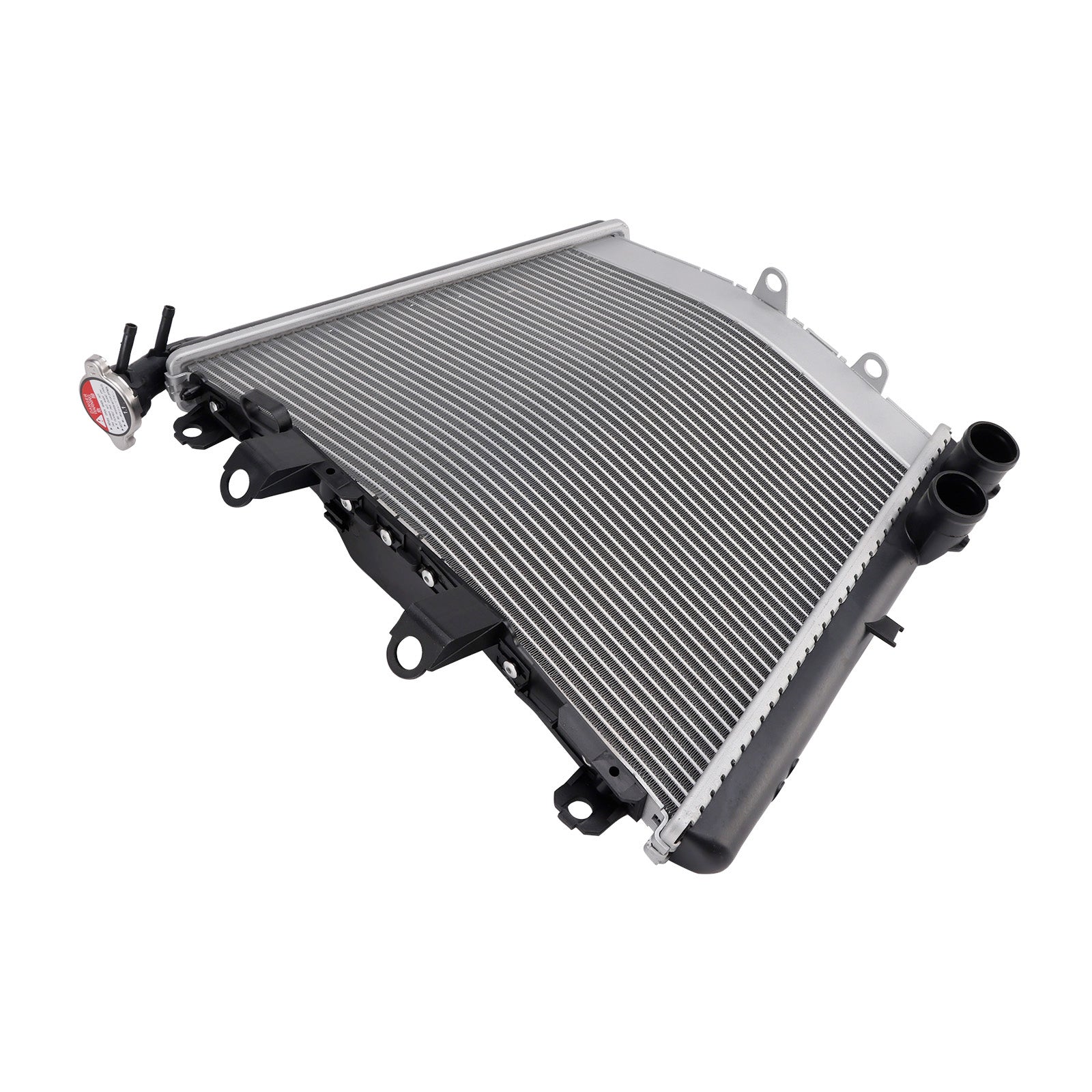 2021-2025 BMW S1000R Radiator Cooling Engine Cooler